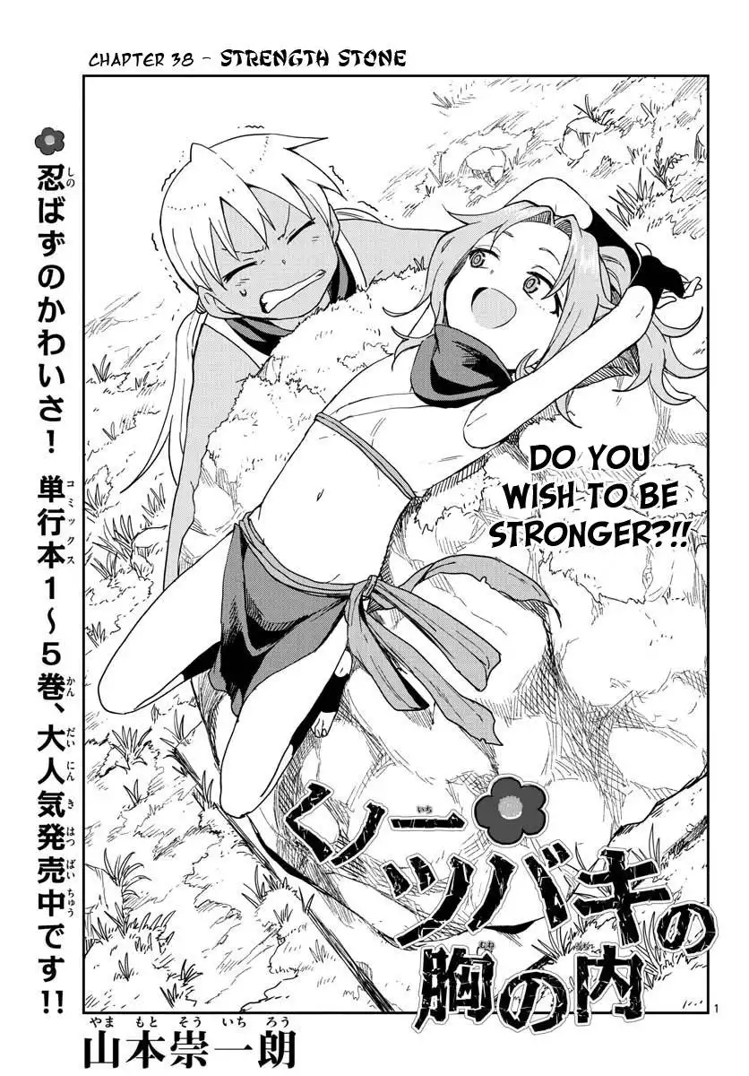 Kunoichi Tsubaki no Mune no Uchi Chapter 38 2